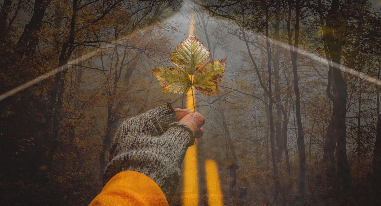 Jak podróżować jesienią aby nie zachorować? Praktyczny poradnik 