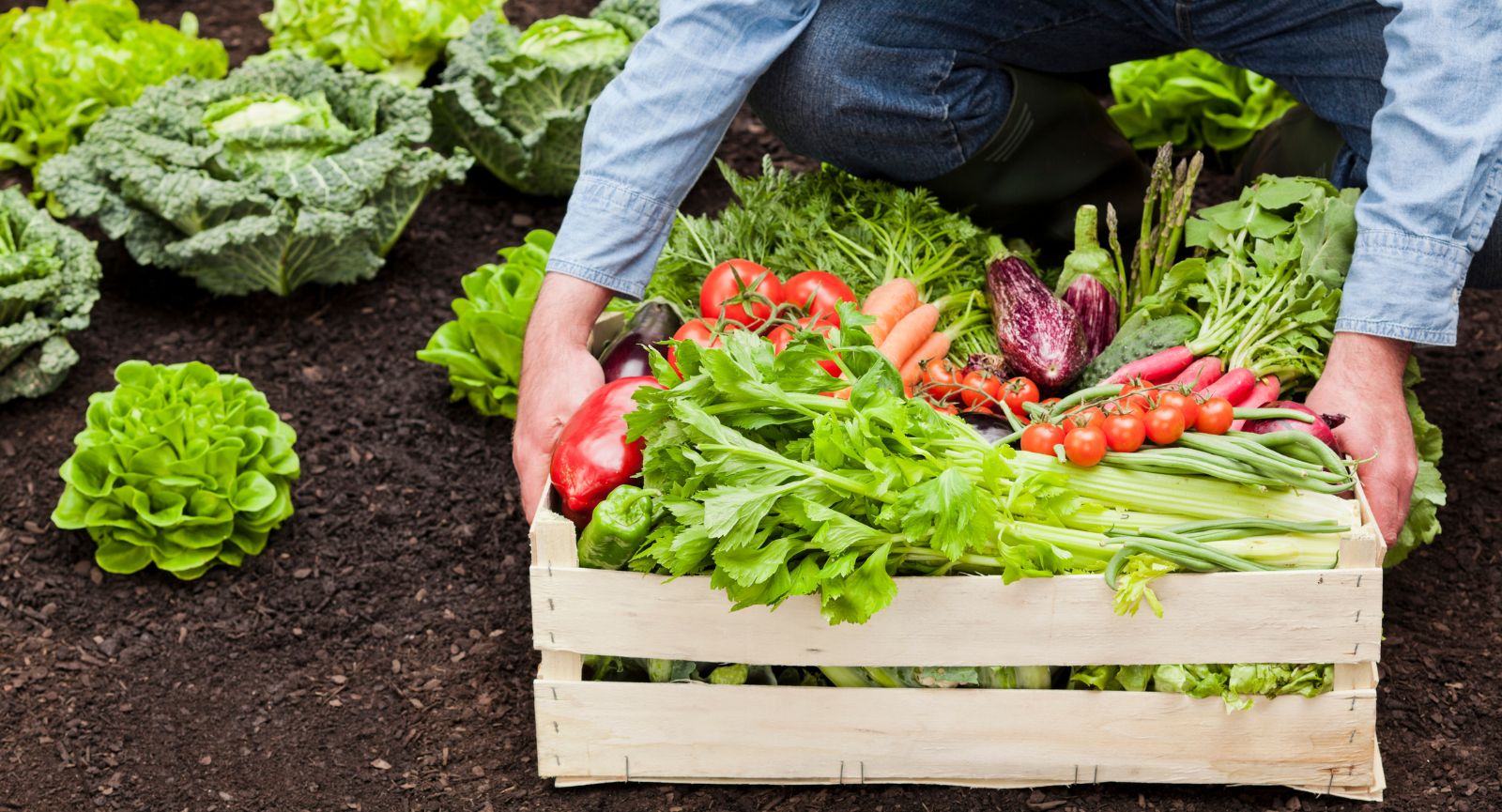 Korzyści z jedzenia produktów ekologicznych