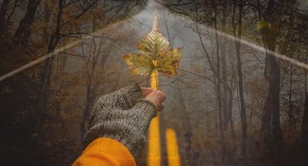 Jak podróżować jesienią aby nie zachorować? Praktyczny poradnik 